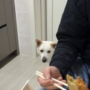 카나리아 | [더무 에어버드]카나리아 이산화탄소 공기질측정기 작동후기