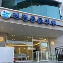 엔젤동물병원 이미지