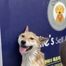 올리스(위례) 이미지