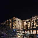 포레스트 리솜 이미지