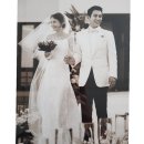 차예련 카카오 검색결과