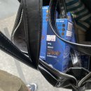 당산스타약국