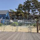 장경리해변 Daum카페