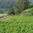 남해-238 이미지