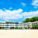 교대부설초등학교 이미지