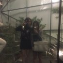 셀러니즈 이미지