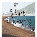 동해안 이미지