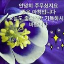 외양간 문 열어요 이미지