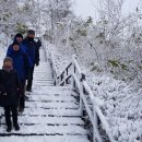 공군학사장교76기 동기산악회 18-11차 눈덮힌 안산자락길 트레킹(18.11.24) 이미지