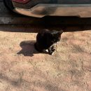 동축사 | 3월 넷째 주. 전시 마지막 주, 소소하게 운동 시작