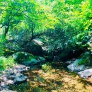 영남민박 이미지