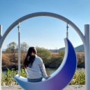 주식회사 디자인한우물