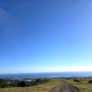 진미펜션 | 제주에서 먹고먹는 기록일기 #4 @진미명가★ 추천 후기 / @귤담채★★ 숙소 추천