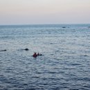 해양경찰서 앞 이미지