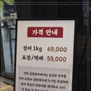 금빛장어 이미지