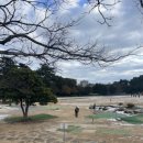 칠십리공원 칠십리파크골프장 이미지