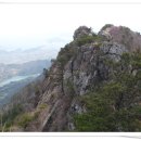 일진농장 이미지