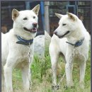 상미집