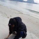 편백나무펜션 이미지