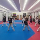 리미태권도장 이미지