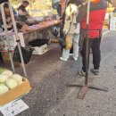 상무금요시장 옆 이미지