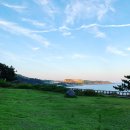 신라원예 | [제주] 제주신라호텔 vs JW 메리어트 제주 리조트 & 스파, 제리엇 비교 솔직 후기 (Feat. 제주...