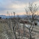 여주-0767 이미지