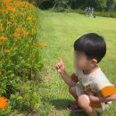 사임당로 115 (1) | 강릉카페 아기랑갈만한곳 아이즈로스터리 홍제동 본점 내돈내산