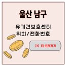 울산광역시 야생동물구조센터 | 산과 바다 사이, 울산 남구 유기견보호센터 보호소의 기적 같은 하루