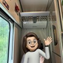 D00220 | 202407_핀란드 더 남쪽으로(1)