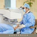 비타민안경.콘택트 이미지