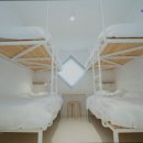 미르게스트하우스 | 제주도 게하 게스트하우스 숙소 펜션 미르게스트하우스 편안한 제주도 미르게스트하우스