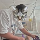 메리놀의원 | 디스크탈출로 인한 신경압박때문에 받게된 허리 신경차단술 및 신경성형술 후기