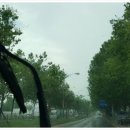 위드목장 이미지