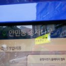 안민동 정자나무 이미지