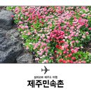 제주민속촌 티스토리