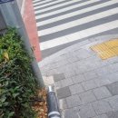 스타벅스 앞 이미지