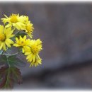 봄과가을이 이미지