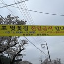 용연사주유소 네이버블로그