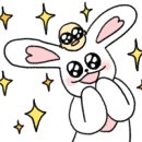 댕츄 이미지