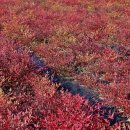 능성목장 이미지