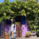 지상낙원 c | 2030 유럽 세미패키지 여행, 혼자 신청해서다녀온 후기