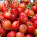 해도농장 이미지