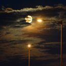 달빛풍경 이미지