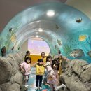 피망어린이집 이미지