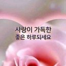 지오부동산공인중개사사무소 이미지