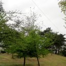 함지공원 이미지