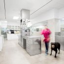 따뜻한 동물병원 이미지