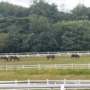 원당목장 이미지