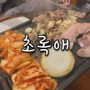 초록애보성녹돈 | [대방역맛집][초록애] 대방역점심, 초록애대방점, 대방역고기집, 대방역점심, 대방역저녁